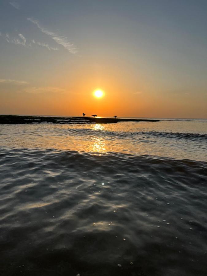 Bungalow De Strandjutter 8 Persons Middelkerke Dış mekan fotoğraf